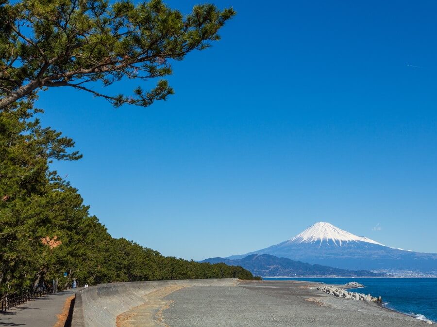 富士山