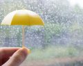 雨とミニチュアの傘