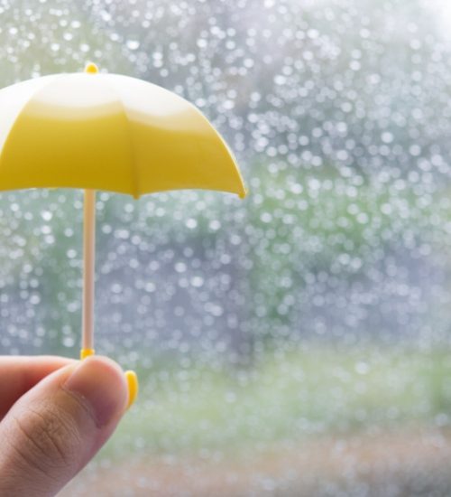 雨とミニチュアの傘